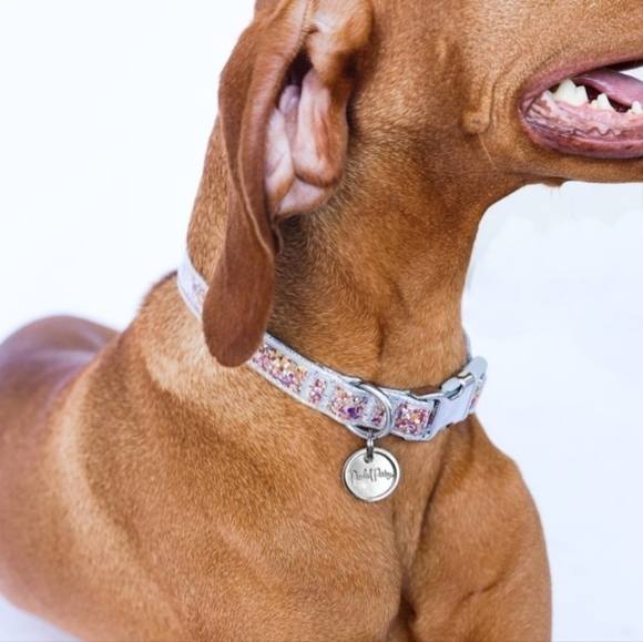 Packed Party Fashion Throw Confetti  Glitter Silver Dog Cat Pet Collar Size XS - Picture 12 of 12